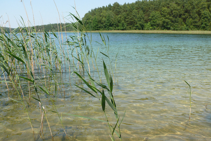 Wanderung zum Krummen See